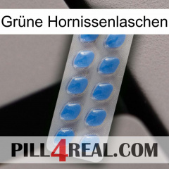Grüne Hornissenlaschen 22